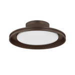 Cannes Exterior Flush Mount by Troy Lighting LIGHTING - Flush Mount Hudson Valley Lighting