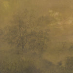 "Expanse" by Aileen Fitzgerald ARTWORK - framed print Four Hands