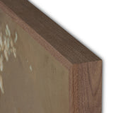 "Sakura" by Jess Engle -Small ARTWORK - framed print Four Hands