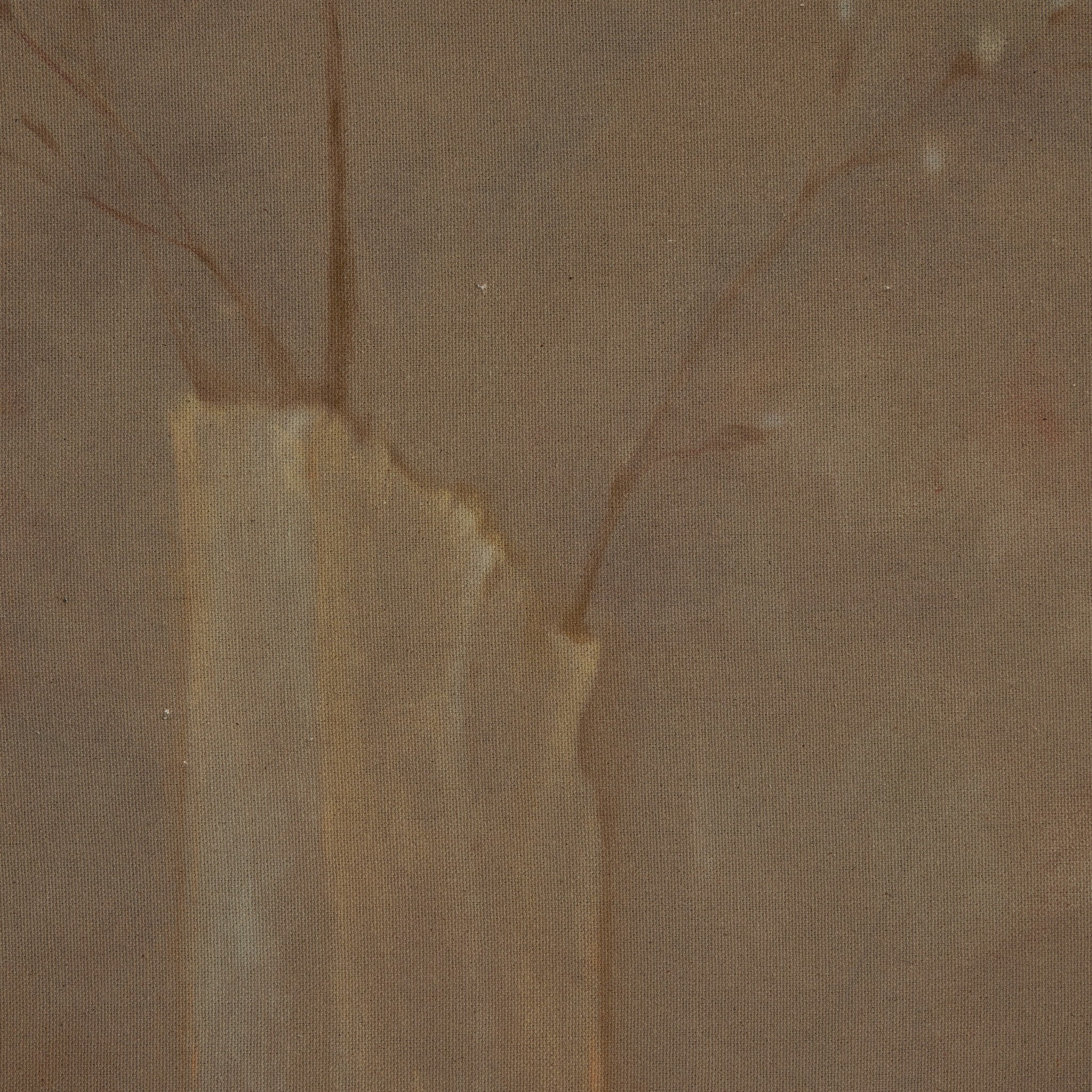 "Sakura" by Jess Engle -Small ARTWORK - framed print Four Hands