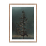 "Winds I" by Mandy Steinback ARTWORK - framed print Four Hands