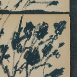 "Summer Weeds II" by Shaina Page ARTWORK - framed print Four Hands