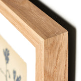 "Summer Weed" by Shaina Page ARTWORK - framed print Four Hands