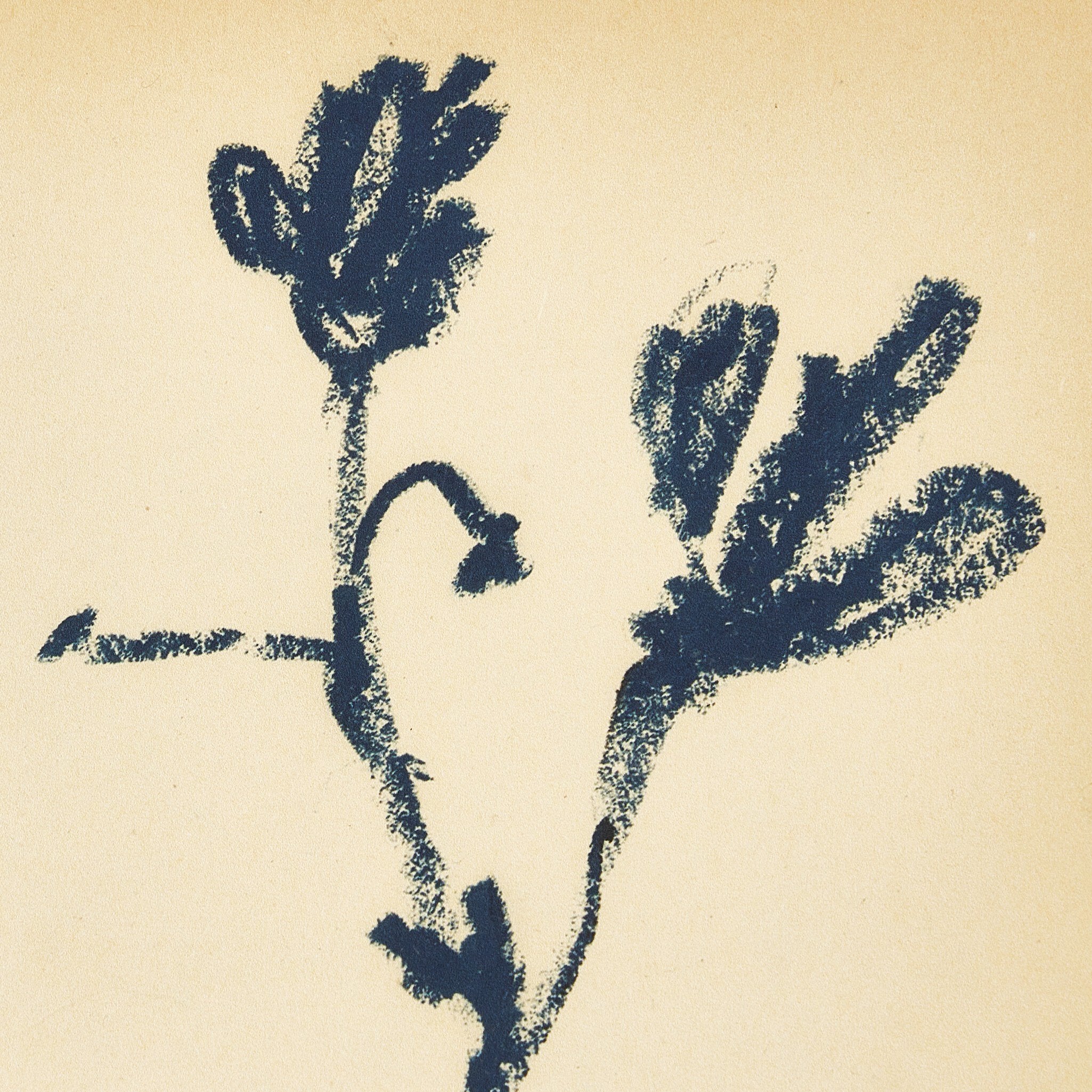 "Summer Weed" by Shaina Page ARTWORK - framed print Four Hands