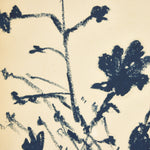 "Summer Weed" by Shaina Page ARTWORK - framed print Four Hands