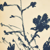 "Summer Weed" by Shaina Page ARTWORK - framed print Four Hands