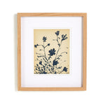 "Summer Weed" by Shaina Page ARTWORK - framed print Four Hands
