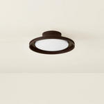 Cannes Exterior Flush Mount by Troy Lighting LIGHTING - Flush Mount Hudson Valley Lighting