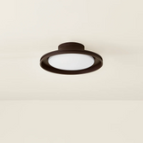 Cannes Exterior Flush Mount by Troy Lighting LIGHTING - Flush Mount Hudson Valley Lighting