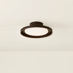 Cannes Exterior Flush Mount by Troy Lighting LIGHTING - Flush Mount Hudson Valley Lighting