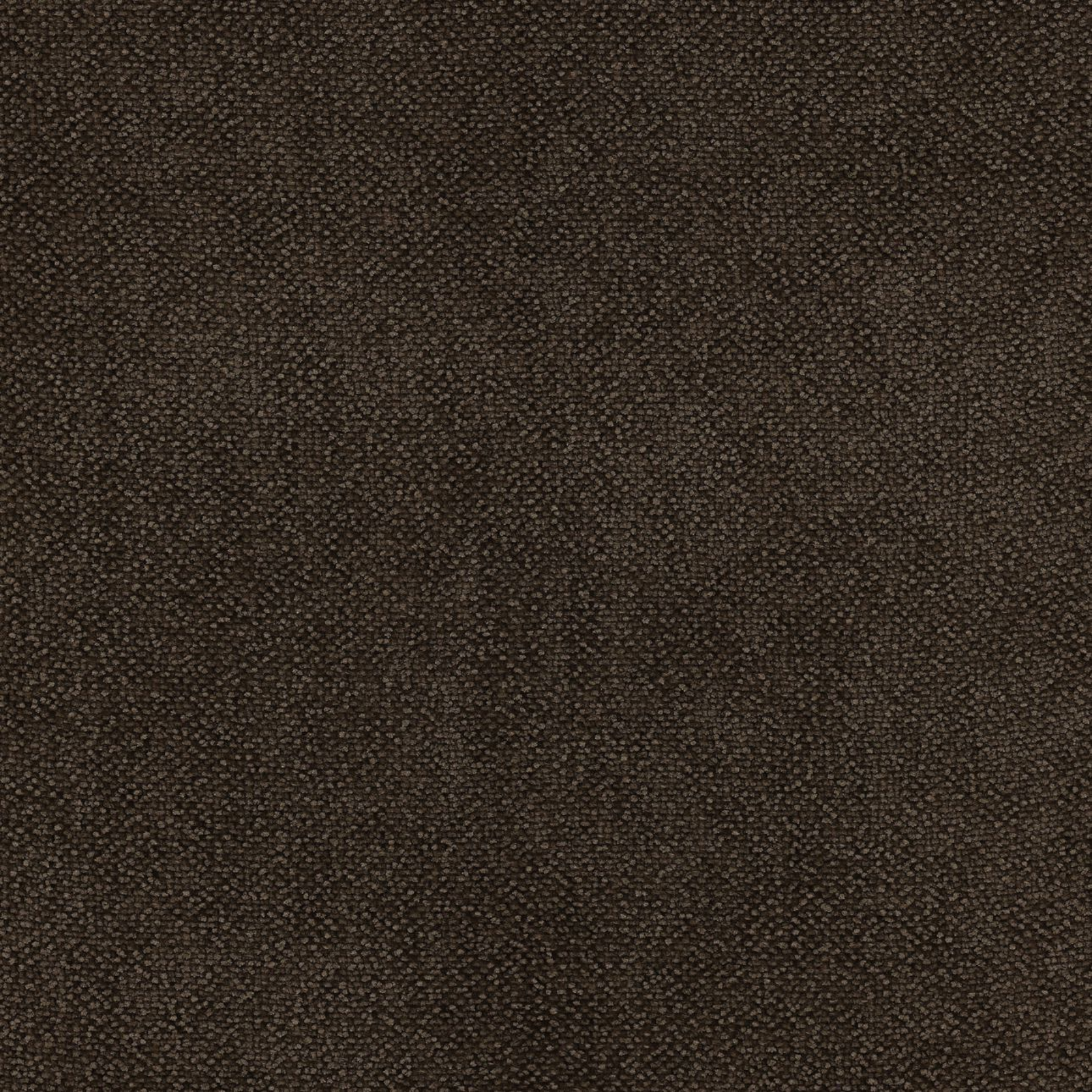 Willaby Dining Chair Dining Chairs Dovetail