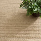 Rio Braided Handwoven Indoor/Outdoor Rug RUGS - synthetic Dash & Albert