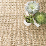Veranda Handwoven Performance Rug Dash & Albert