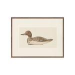 IN STORE - "Decoy Duck I" Framed Art Print ARTWORK - in store Celadon Art