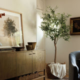 "Axel Vervoordt: Portraits of Interiors" by Axel Vervoordt BOOKS - design Penguin Random House