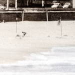 "Friends Who Surf" Framed Art Print ARTWORK - framed print Celadon Art