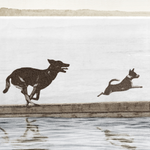 "Dog Days By The Lake" Framed Art Print ARTWORK - framed print Celadon Art