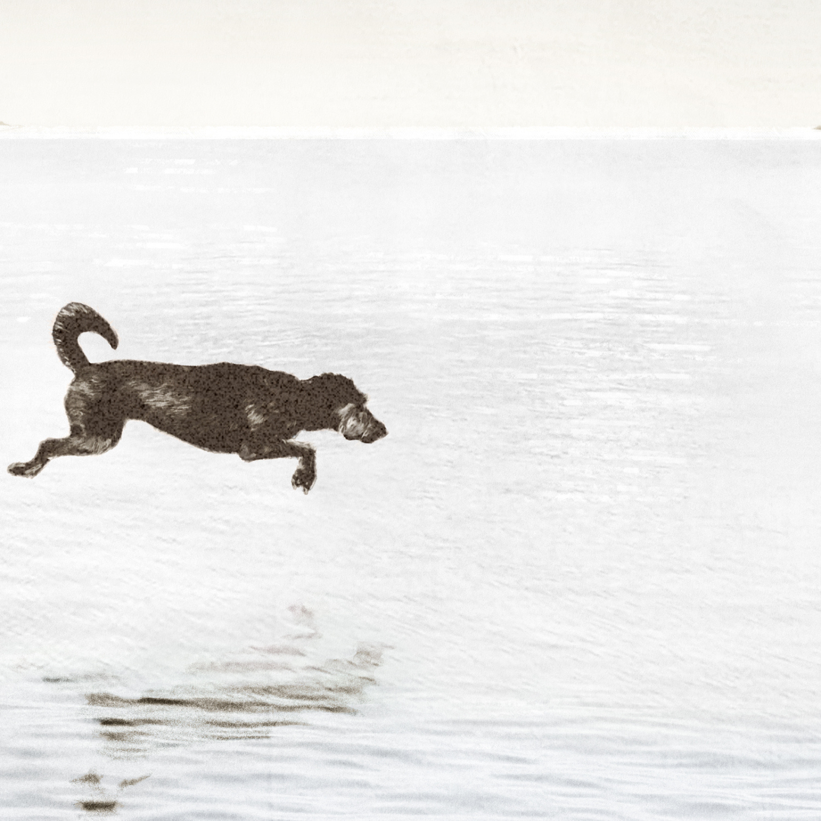 "Dog Days By The Lake" Framed Art Print ARTWORK - framed print Celadon Art