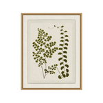 "Plant Pressings" Framed Art Print ARTWORK - framed print Wendover Art Group