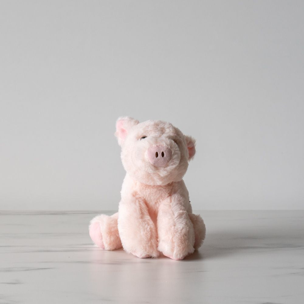 Penny the Pig - Rug & Weave