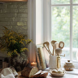 "Cured: Cooking With Ferments, Pickles, Preserves & More" by Steve McHugh BOOKS - cookbook Penguin Random House