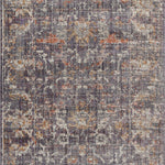 Chris Loves Julia x Loloi Rosemarie Graphite / Multi Rug RUGS - patterned Loloi