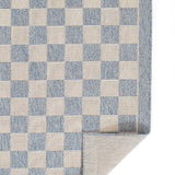Sablebrook Blue Checkered Rug 5-Rugs - indoor/outdoor Momeni
