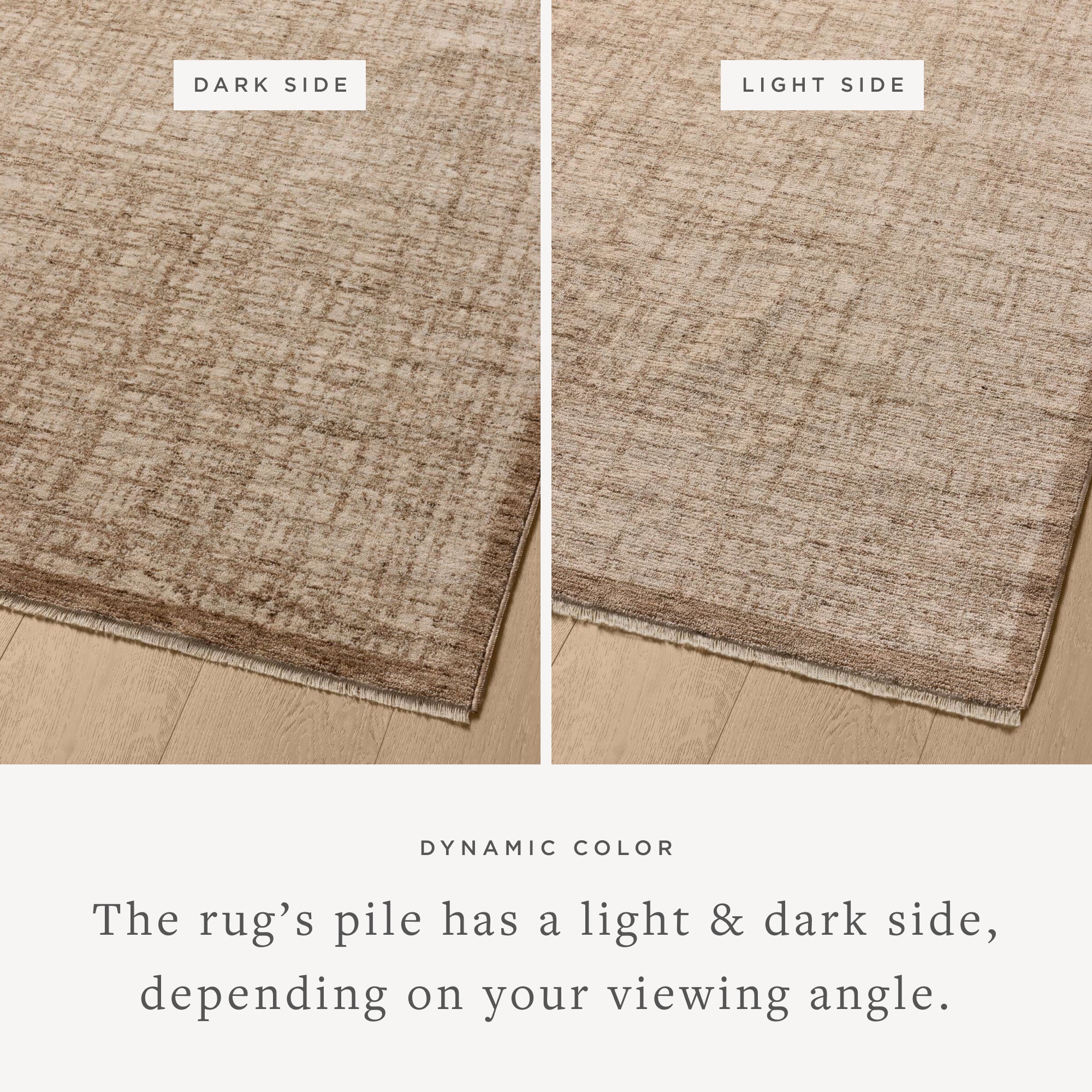 Loloi Winston Earth / Bone Rug Rugs Loloi