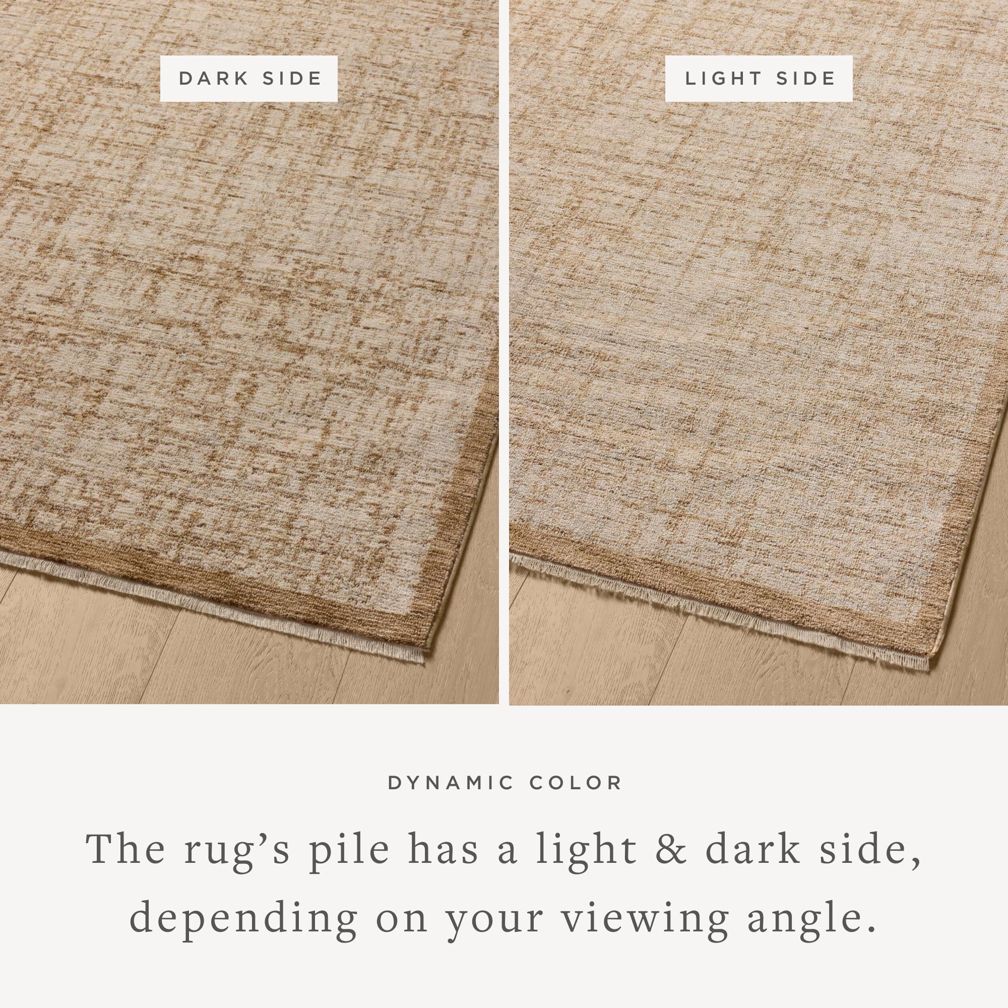 Loloi Winston Spice / Bone Rug Rugs Loloi