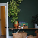 Farrow & Ball Duck Green No. W55 - Archive Collection PAINT - Farrow & Ball Farrow & Ball
