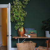 Farrow & Ball Duck Green No. W55 - Archive Collection PAINT - Farrow & Ball Farrow & Ball