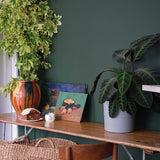 Farrow & Ball Duck Green No. W55 - Archive Collection PAINT - Farrow & Ball Farrow & Ball