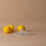 Pressed Glass Citrus Juicer juicer Abbott Collection