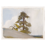 "Cliffside Pine" Framed Art Print ARTWORK - framed print Celadon Art