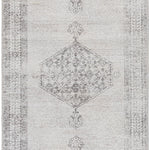 Olympic Ivory / Granite Rug 0-RUGS - patterned Surya