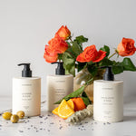The Everyday Lotion by LOVEFRESH lotion LOVEFRESH
