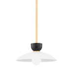 Whitley Pendant LIGHTING - pendant Hudson Valley Lighting 14"W x 7"H Aged Brass