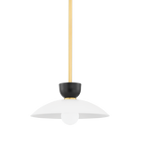 Whitley Pendant LIGHTING - pendant Hudson Valley Lighting 14"W x 7"H Aged Brass