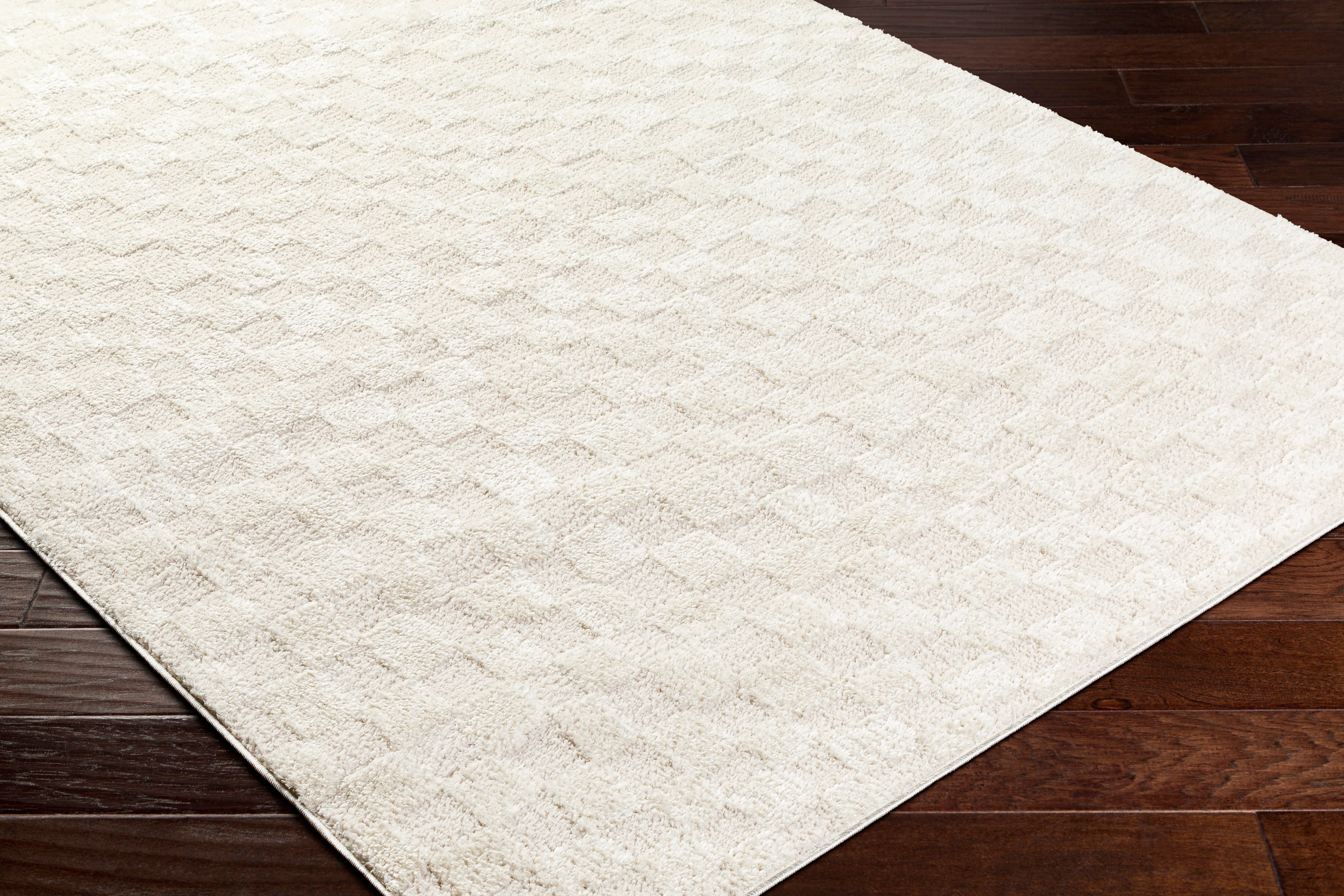 Floyd Ivory Checkered Rug 0-RUGS - patterned Surya