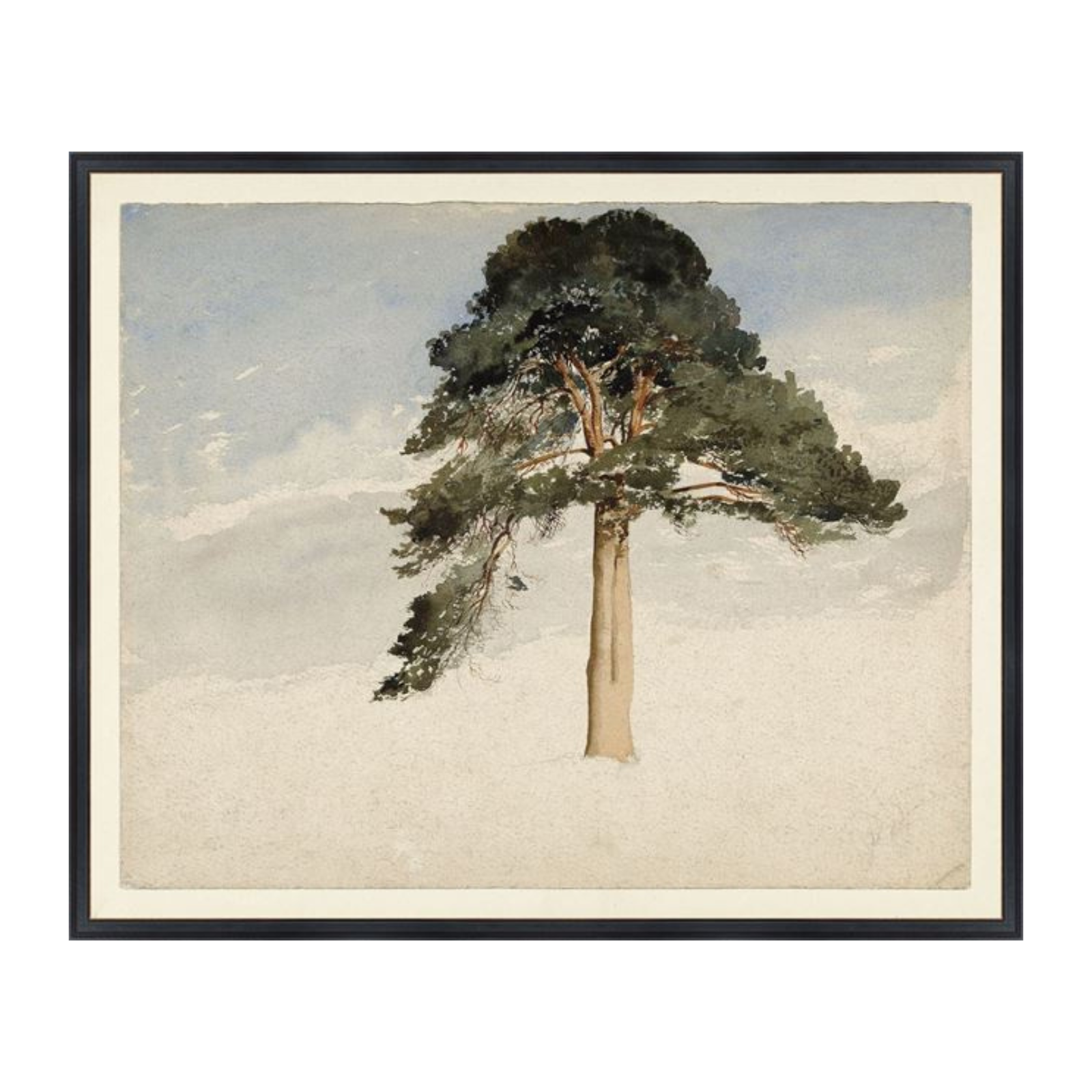 "Watercolour Fir Tree" Framed Art Print ARTWORK - framed print Celadon Art