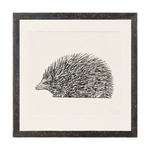 "Hand Drawn Hedgehog" Framed Art Print ARTWORK - framed print Celadon Art