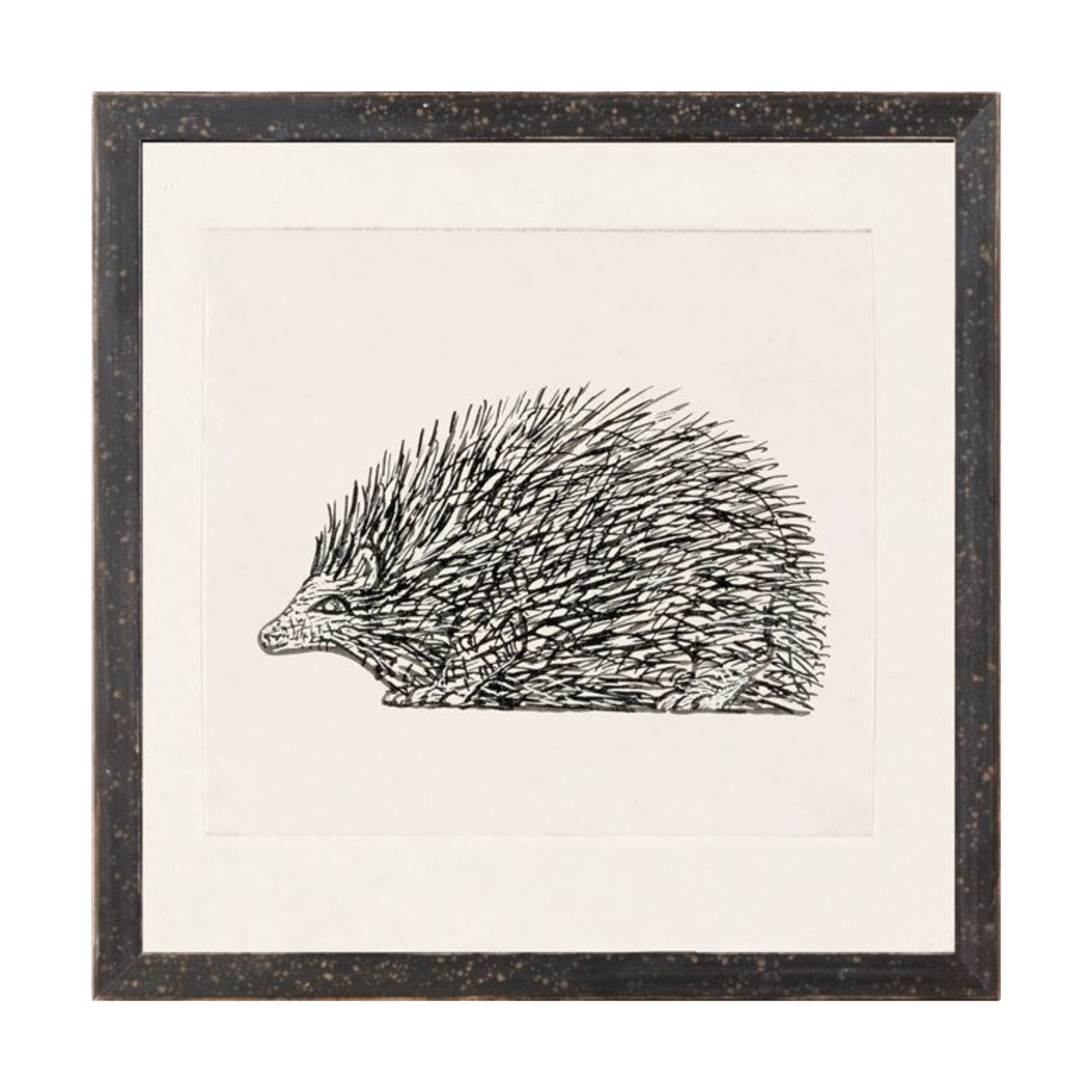 "Hand Drawn Hedgehog" Framed Art Print ARTWORK - framed print Celadon Art