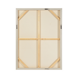 "Antarctic" Framed Canvas by Patrick St Germain ARTWORK - framed print Renwil