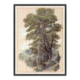 "Tree Lined Path" Framed Art Print ARTWORK - framed print Celadon Art