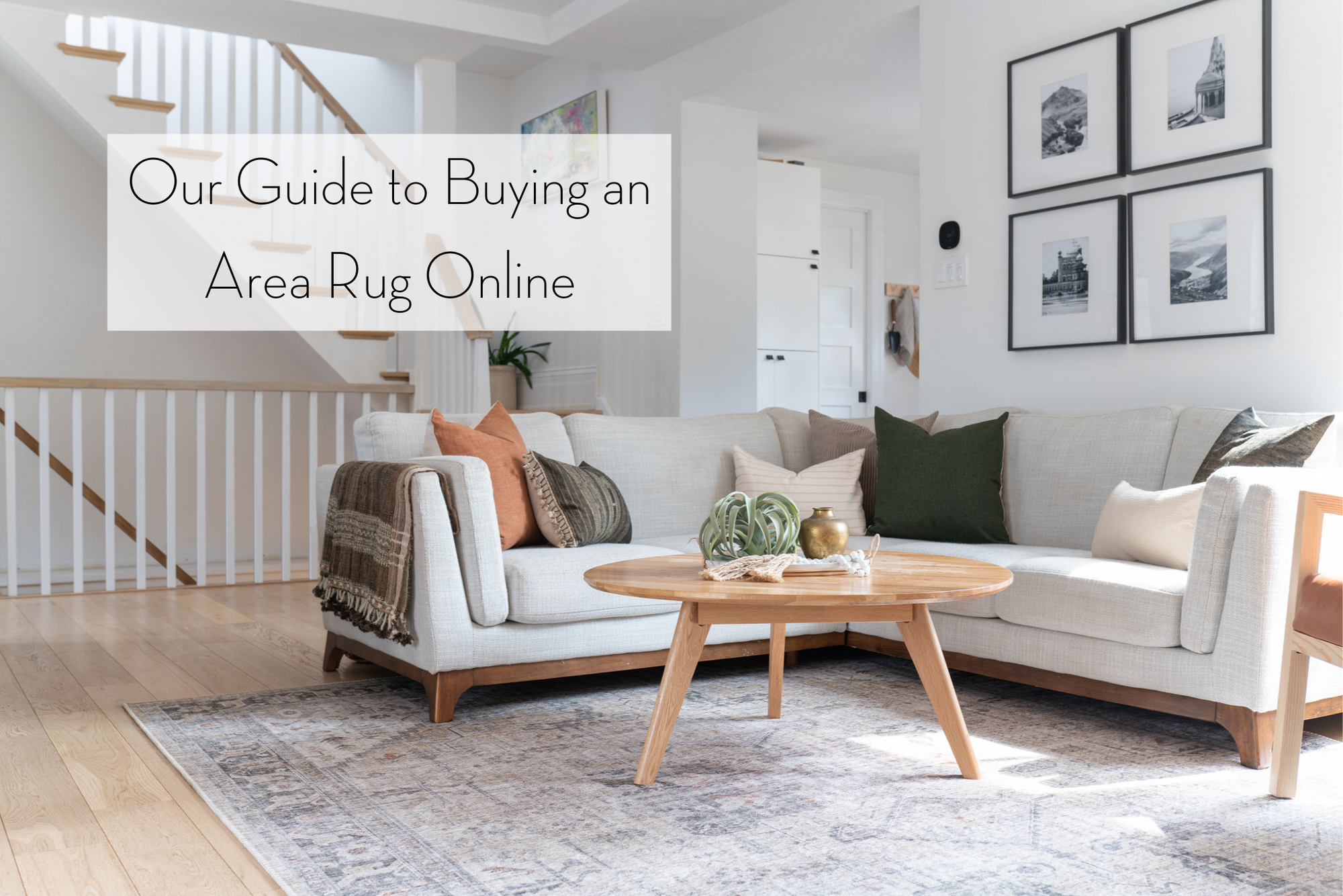 Our Guide to Buying an Area Rug Online