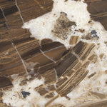 Joelle Coffee Table FURNITURE - coffee tables Mercana