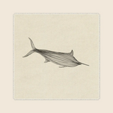 "Fishing Line II" Framed Art Print