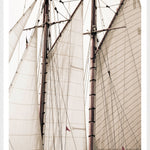 "Sails" Framed Art Print ARTWORK - framed print Celadon Art Large White