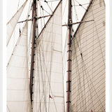 "Sails" Framed Art Print ARTWORK - framed print Celadon Art Large White