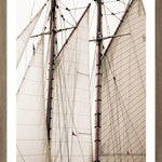"Sails" Framed Art Print ARTWORK - framed print Celadon Art Small Oak
